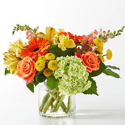 Seasonal Designer Choice