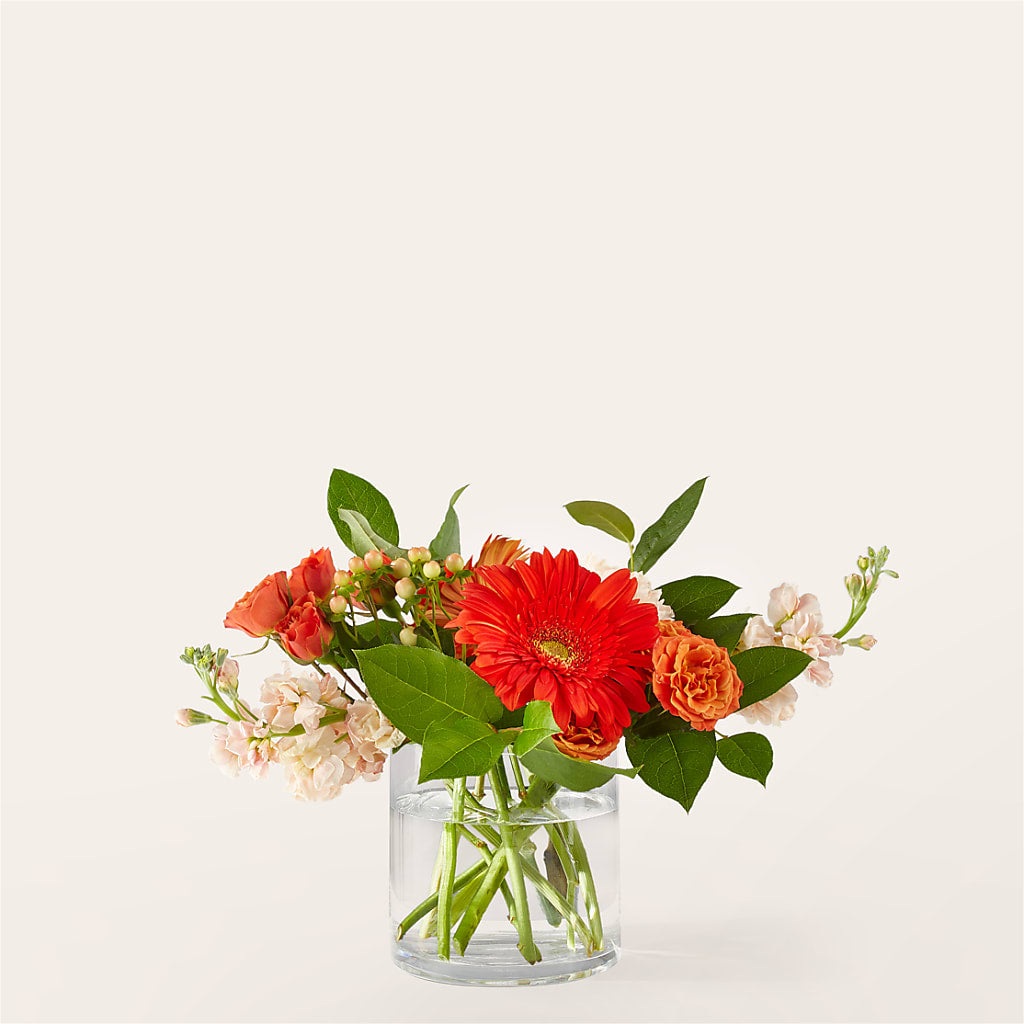 Paloma Please Bouquet – Flower Cafe, Hartford WI