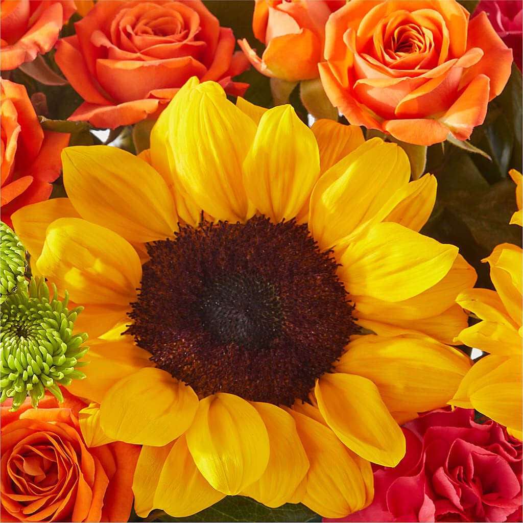 Sun-drenched Blooms Box Bouquet –  Flower Cafe, Hartford WI