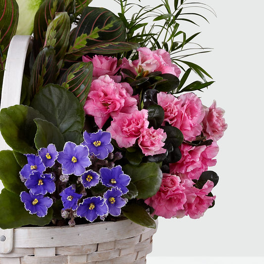 Peaceful Garden Planter –  Flower Cafe, Hartford WI
