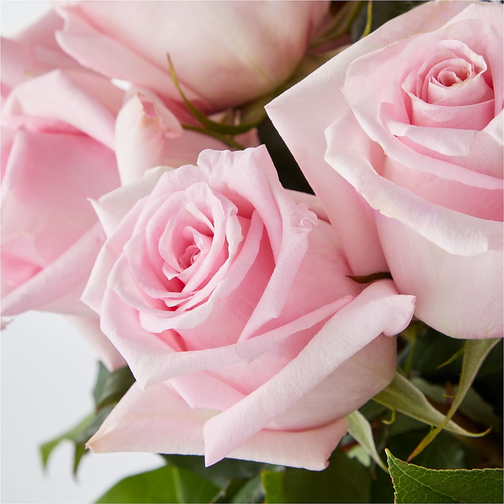 Picture Perfect Pink Rose Bouquet –  Flower Cafe, Hartford WI