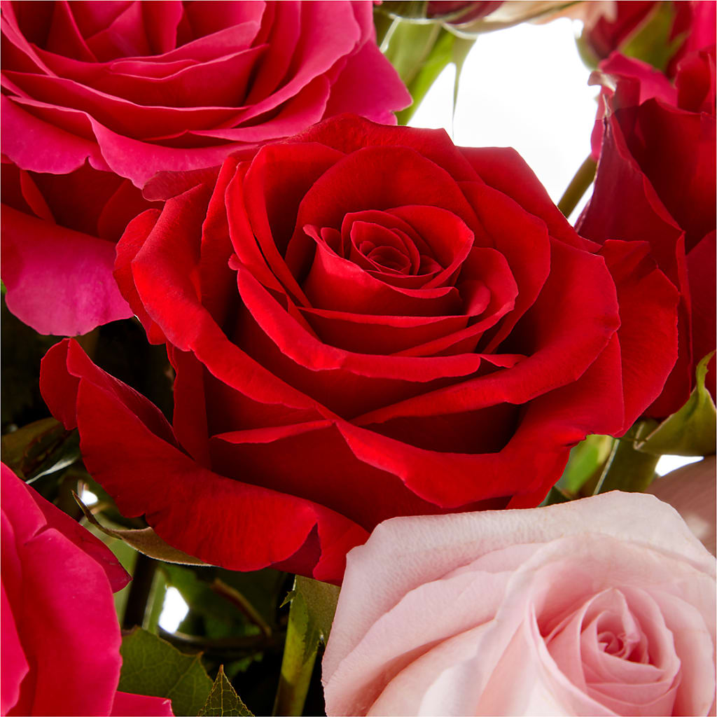 Love Notes Rose Bouquet –  Flower Cafe, Hartford WI