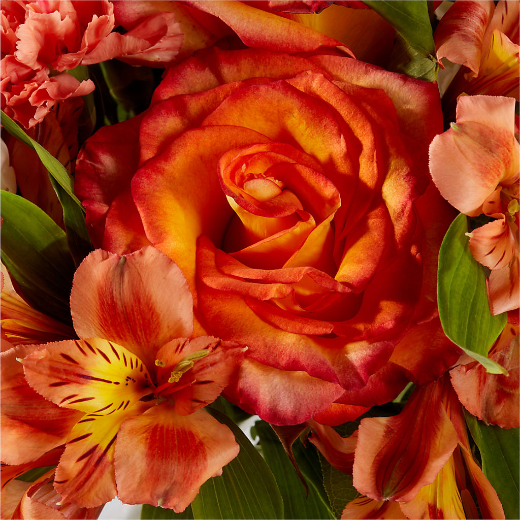 Apricot Glow Bouquet –  Flower Cafe, Hartford WI