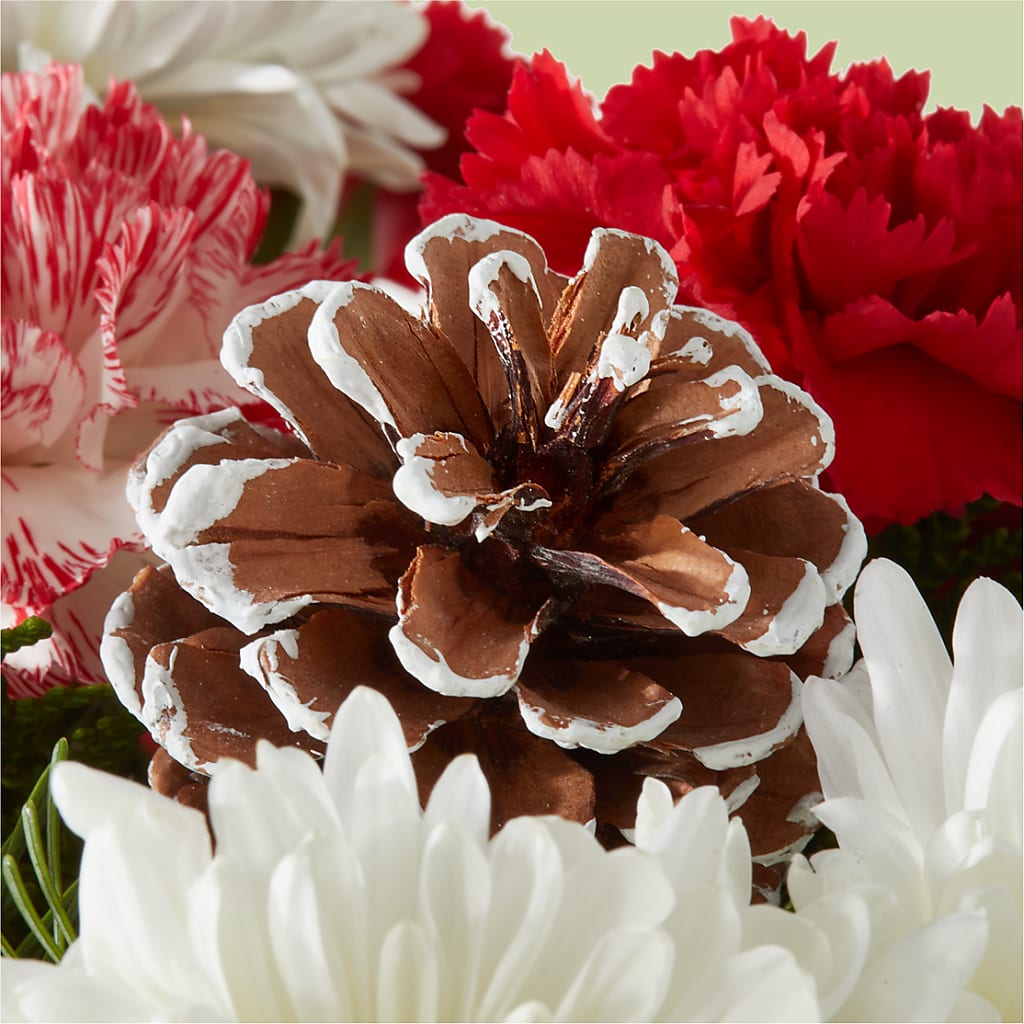 Candy Cane Lane Bouquet –  Flower Cafe, Hartford WI