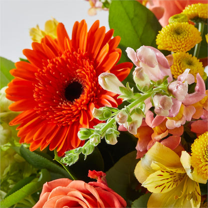 Autumn Sunshine Bouquet –  Flower Cafe, Hartford WI