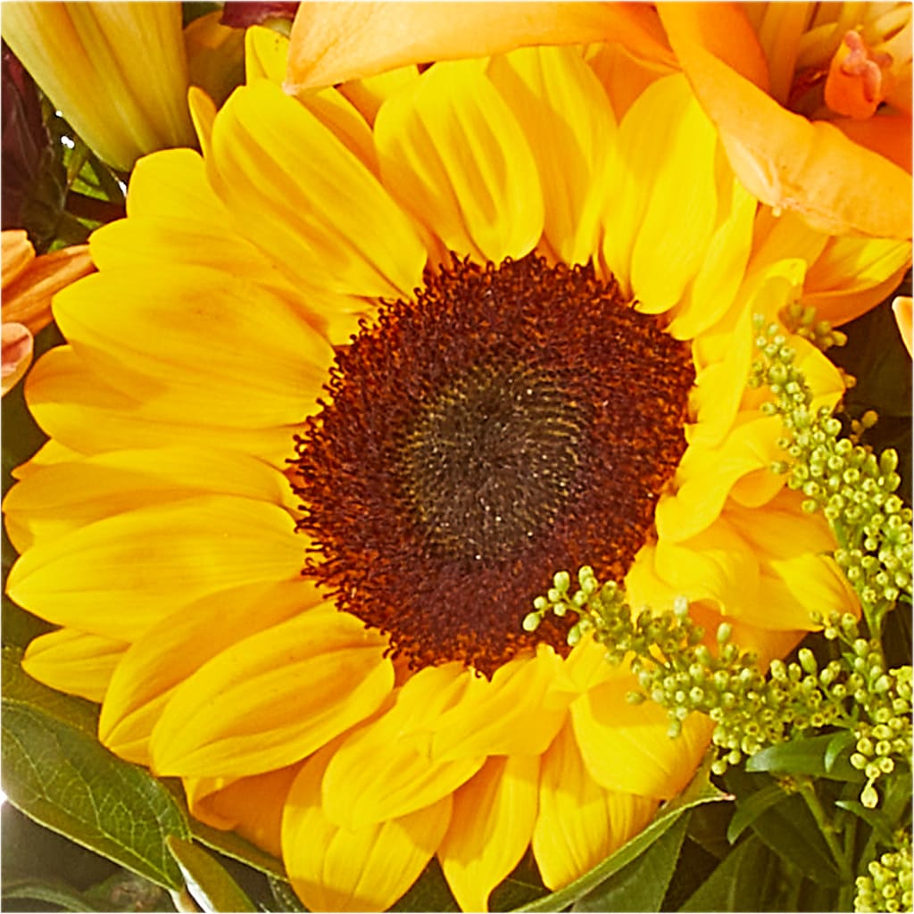 Seasons Change Bouquet –  Flower Cafe, Hartford WI