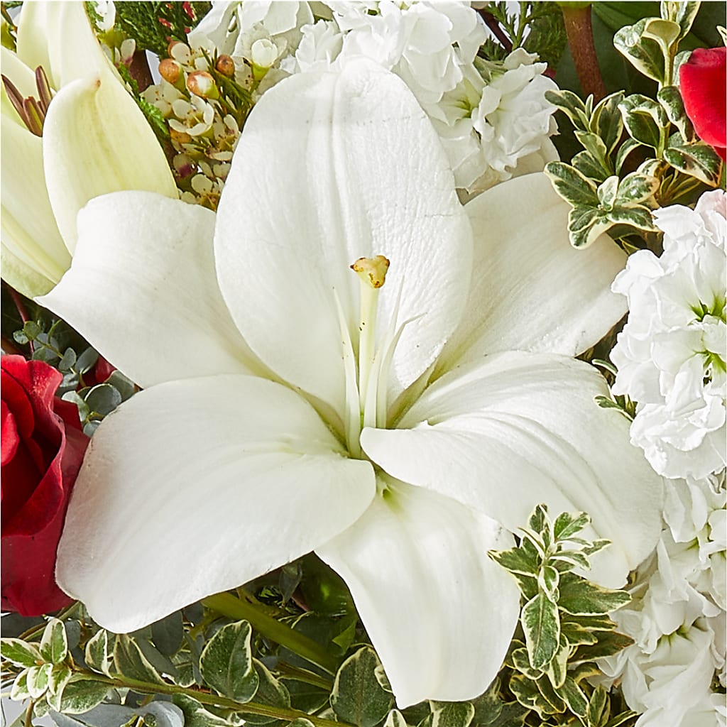 Twinkle Lights Bouquet –  Flower Cafe, Hartford WI