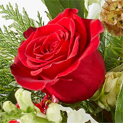 Deck the Halls Bouquet –  Flower Cafe, Hartford WI